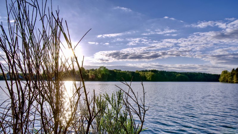 Bever-Talsperre stimmungsvoller Ausblick auf Wasseroberfläche